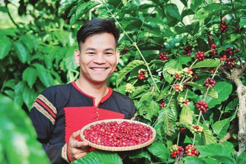 10 ĐIỀU THÚ VỊ VỀ CÀ PHÊ MÀ CÓ THỂ BẠN CHƯA BIẾT| NONLA COFFEE