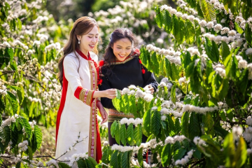 TÂY NGUYÊN – VÙNG ĐẤT ĐẠI NGÀN VÀ BẢN SẮC BẢN ĐỊA | TIN TỨC HÀNG NGÀY