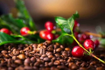 Tại Sao Nên Chọn Cà Phê Sấy Thăng Hoa Thay Vì Cà Phê  Hòa Tan Thông Thường | AODAI COFFEE