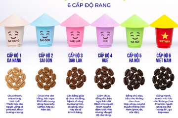6 Cấp Độ Cà Phê NonLa Có Gì Đặc Biệt Mà Được Nhiều Người Săn Đón?| NONLA COFFEE