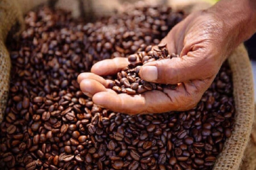 LÝ DO NHIỀU NGƯỜI ĐANG DẦN CHUYỂN QUA DÒNG CÀ PHÊ SẤY LẠNH | NONLA COFFEE