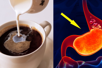 CÀ PHÊ VÀ SỨC KHỎE ĐƯỜNG RUỘT: NHỮNG LỢI ÍCH ĐÃ ĐƯỢC KHOA HỌC CHỨNG MINH | NONLA COFFEE
